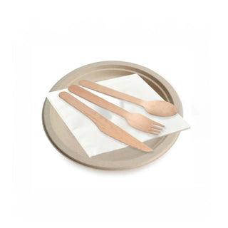 Disposable Tableware Set